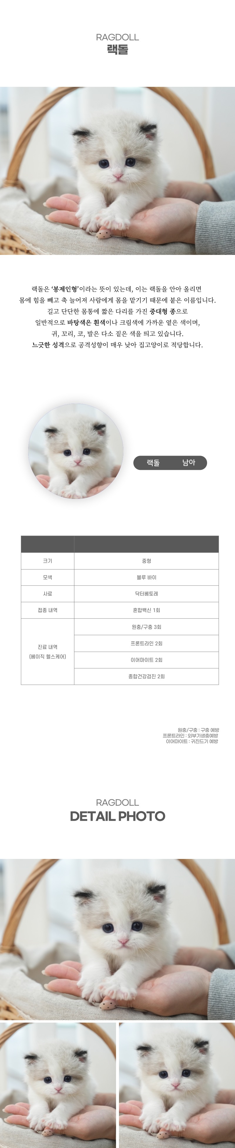 랙돌_상세이미지_2